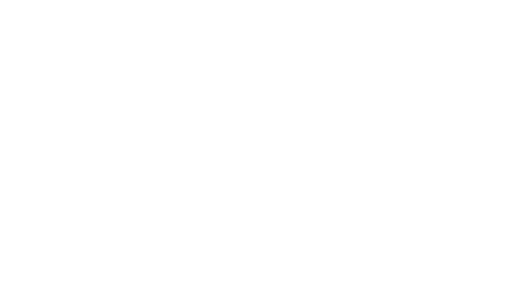 diputació de Lleida