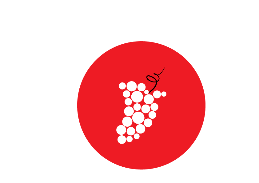 diputació de Lleida