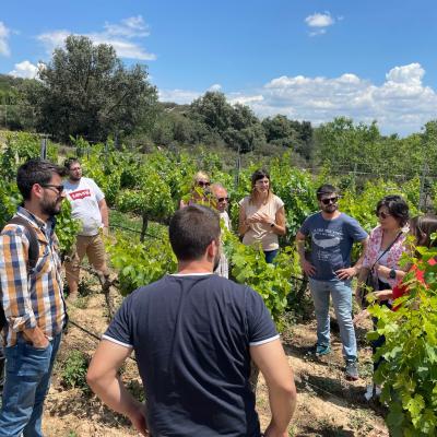 Grup del curs a les vinyes